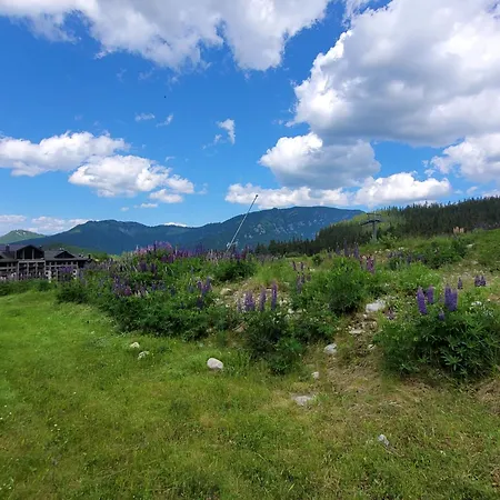 Jasna Centrum Krowka - Free Jacuzzi & Sauna And Chopok View Daire *