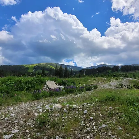 Jasna Centrum Krowka - Free Jacuzzi & Sauna And Chopok View * デマノブスカ・ドリーナ