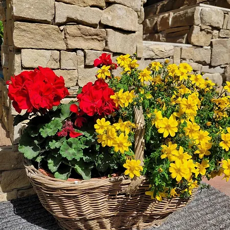 Jasna Centrum Krowka - Free Jacuzzi & Sauna And Chopok View